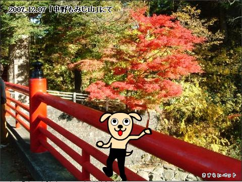 �����炢�̗��@�킩