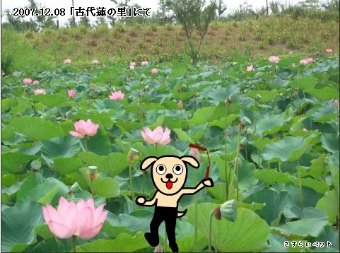 �����炢�̗��@�킩