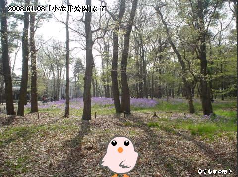 �����炢�̗��@�킩