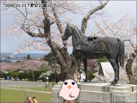 �����炢�̗��@�킩