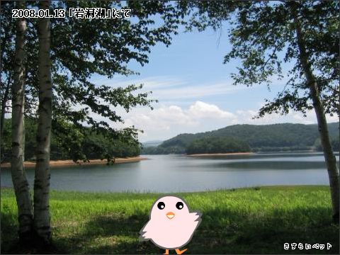 �����炢�̗��@�킩