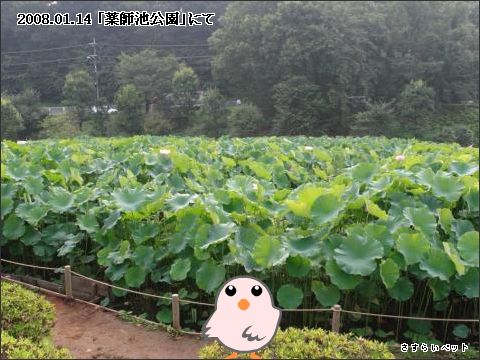 �����炢�̗��@�킩