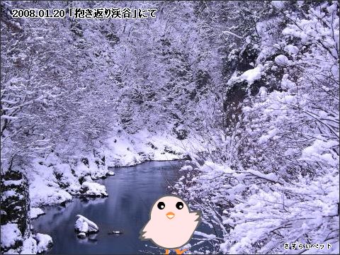 �����炢�̗��@�킩