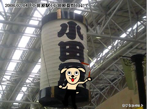 �����炢�̗��@�킩