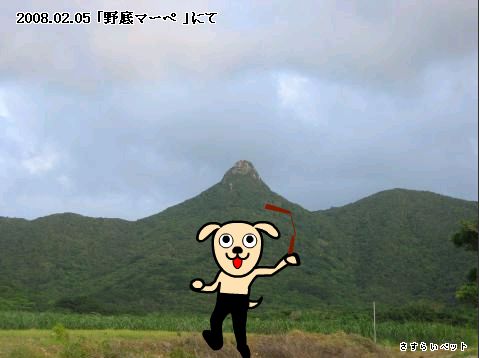 �����炢�̗��@�킩