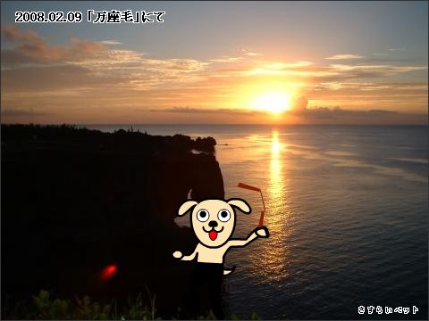 �����炢�̗��@�킩