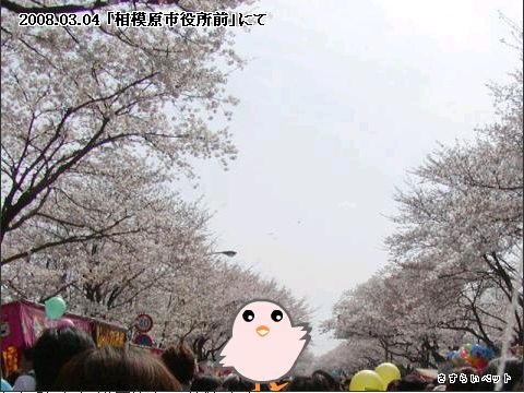 �����炢�̗��@�킩