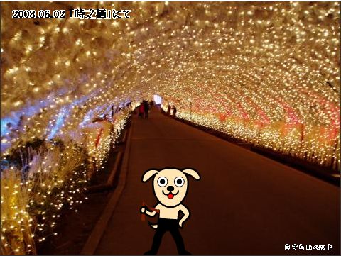 �����炢�̗��@�킩