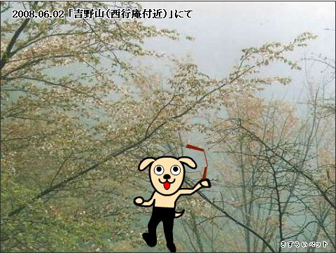 �����炢�̗��@�킩