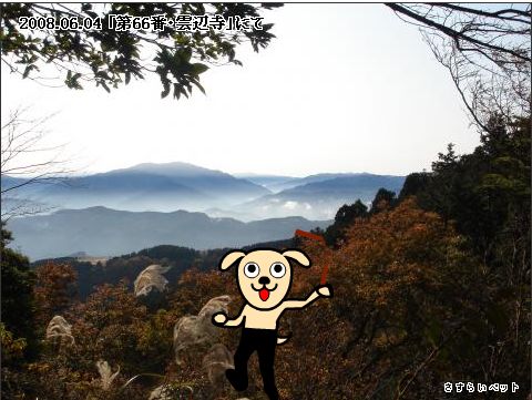 �����炢�̗��@�킩