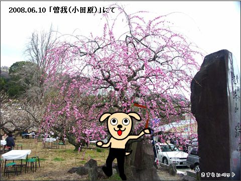 �����炢�̗��@�킩