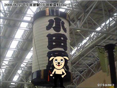 �����炢�̗��@�킩