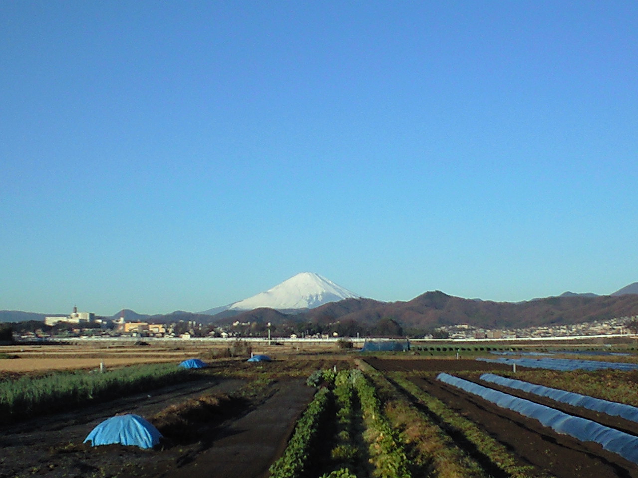 �s����ʐM�@�j�r�X�|�[�c