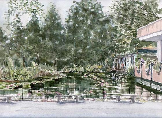 �L�m����̐��ʋ���