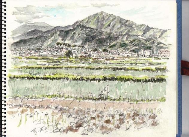 �L�m����̐��ʋ���