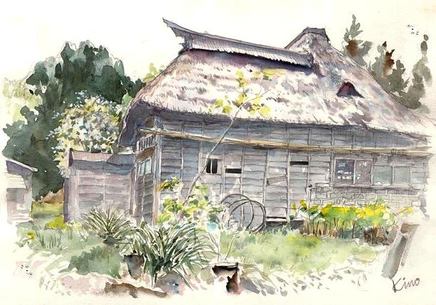 �L�m����̐��ʋ���