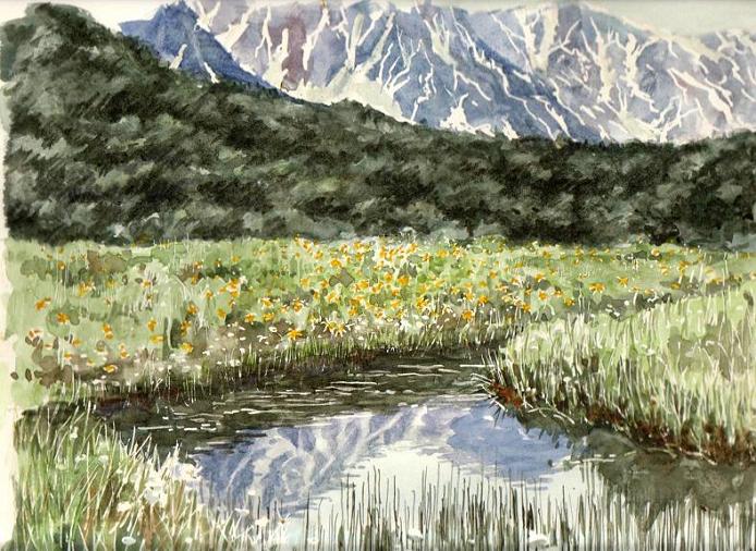 �L�m����̐��ʋ���