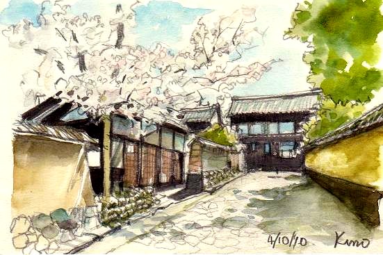 �L�m����̐��ʋ���