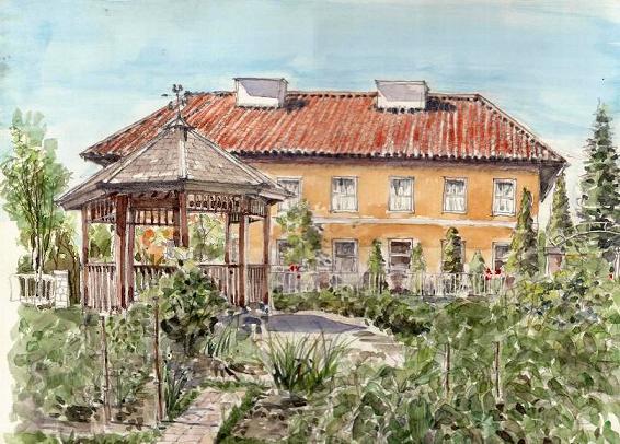 �L�m����̐��ʋ���