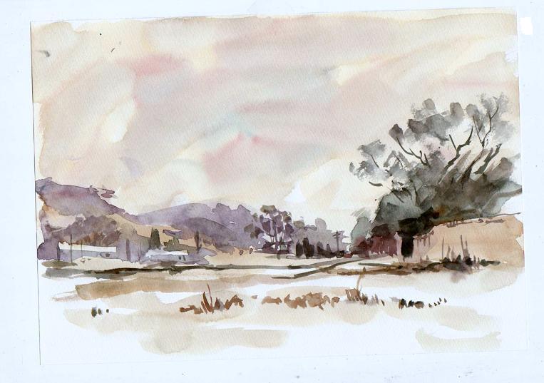 �L�m����̐��ʋ���