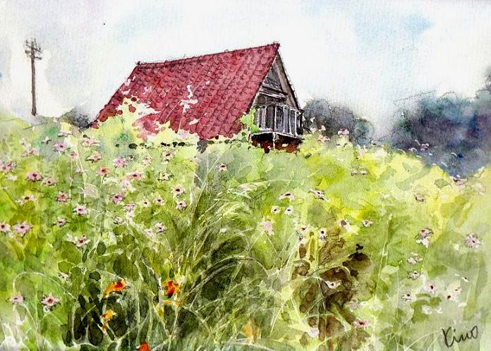 �L�m����̐��ʋ���