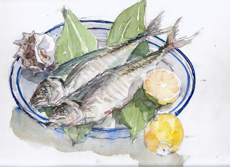 �L�m����̐��ʋ���