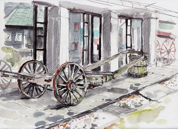 �L�m����̐��ʋ���