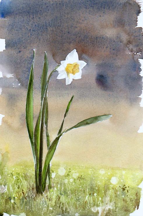 �L�m����̐��ʋ���