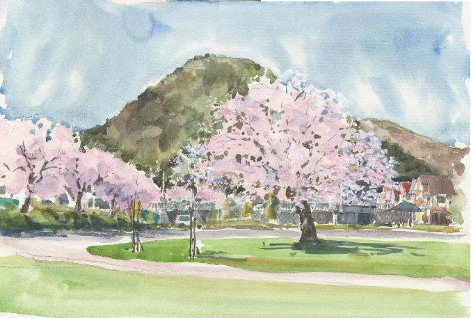 �L�m����̐��ʋ���