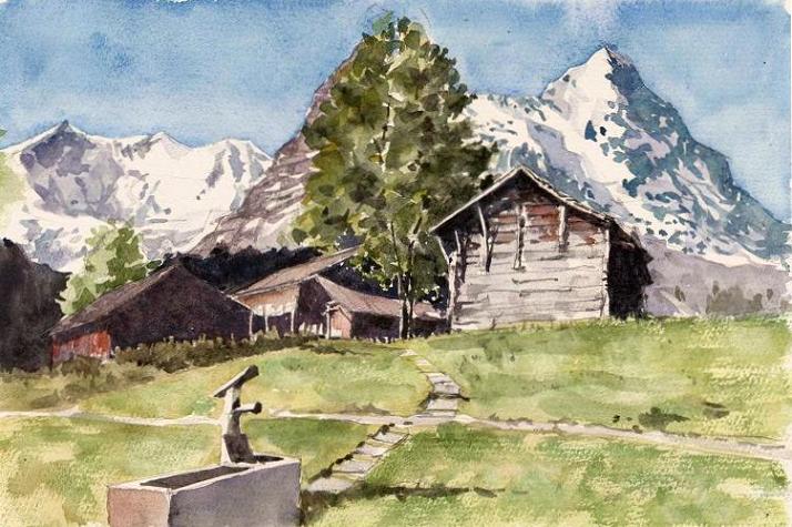 �L�m����̐��ʋ���