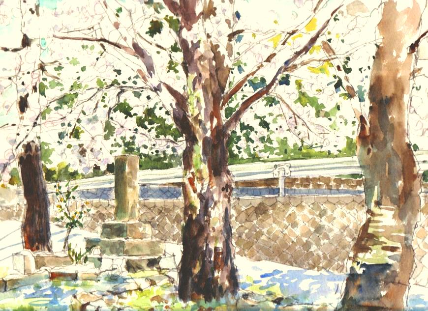 �L�m����̐��ʋ���