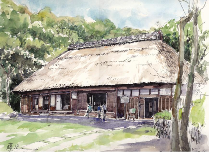 �L�m����̐��ʋ���