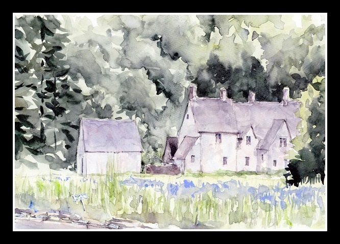 �L�m����̐��ʋ���