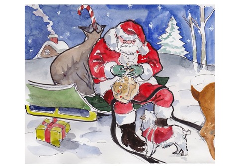 �L�m����̐��ʋ���