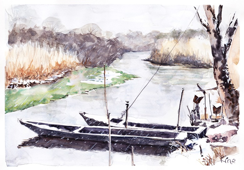 �L�m����̐��ʋ���