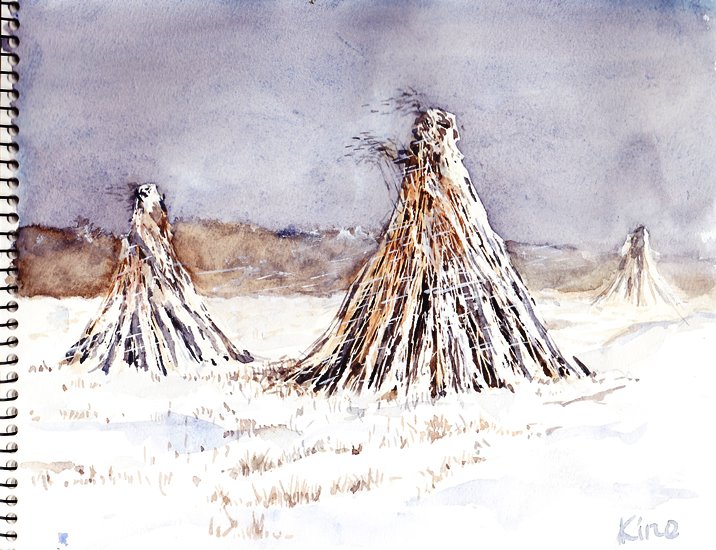 �L�m����̐��ʋ���