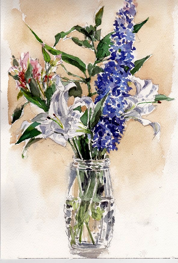 �L�m����̐��ʋ���