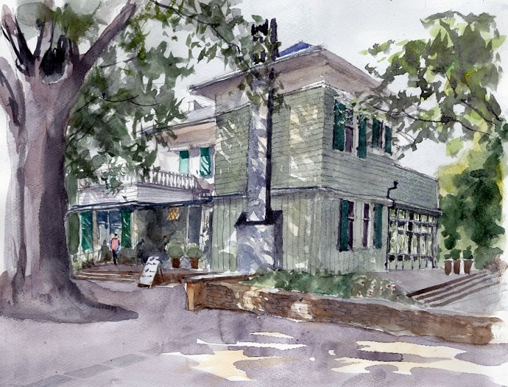 �L�m����̐��ʋ���