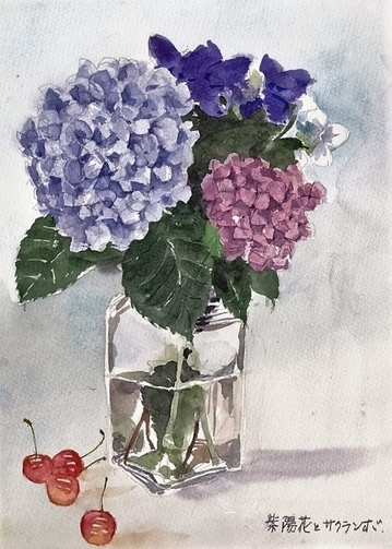 �L�m����̐��ʋ���