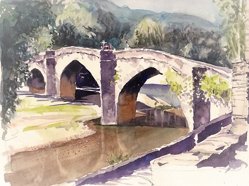 �L�m����̐��ʋ���