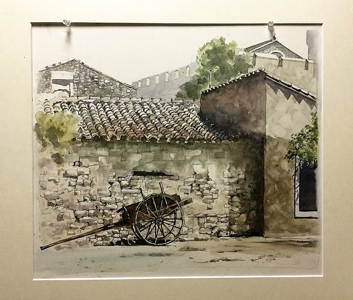 �L�m����̐��ʋ���