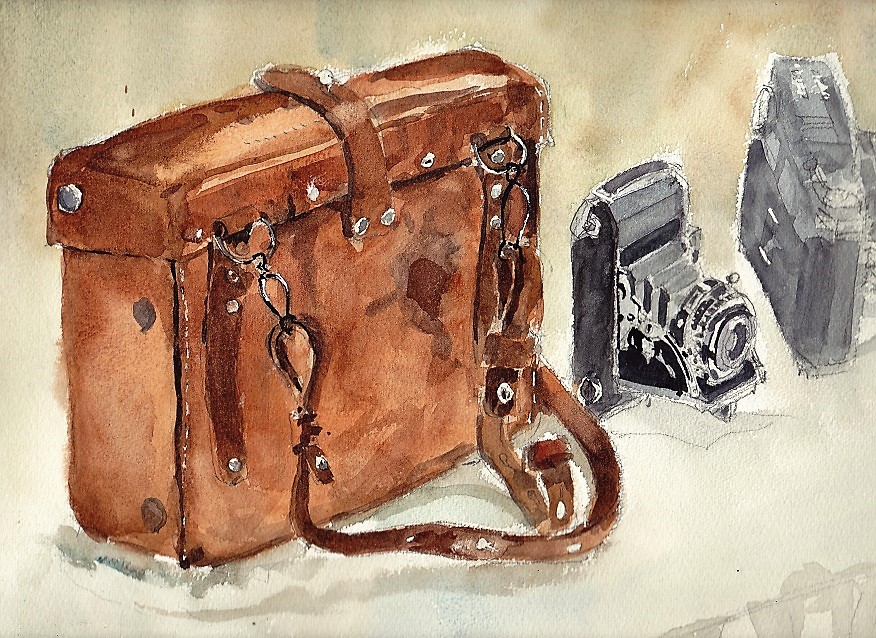 �L�m����̐��ʋ���