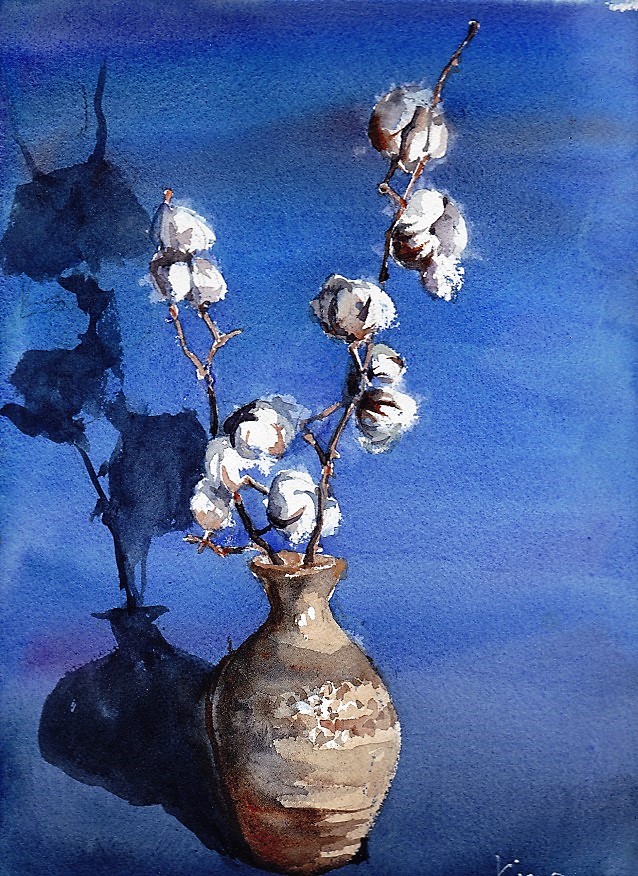 �L�m����̐��ʋ���