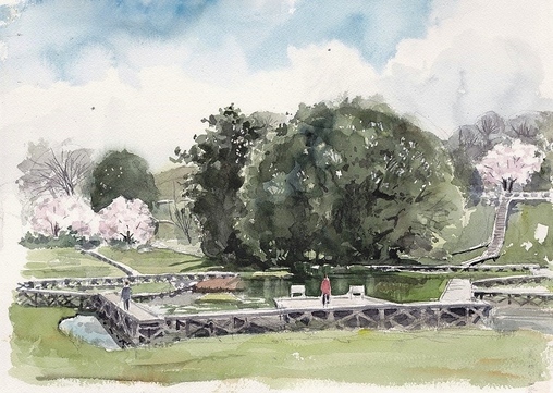 �L�m����̐��ʋ���