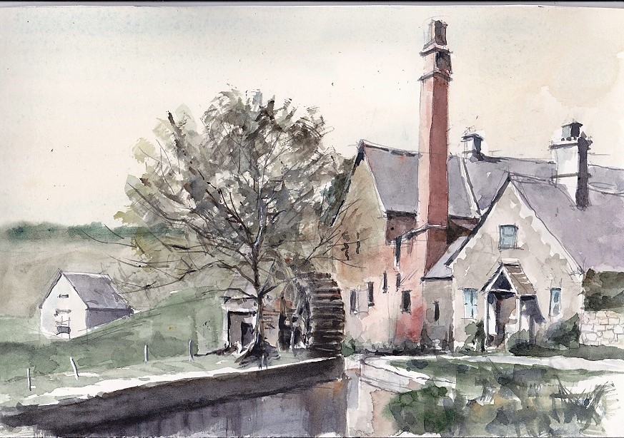 �L�m����̐��ʋ���