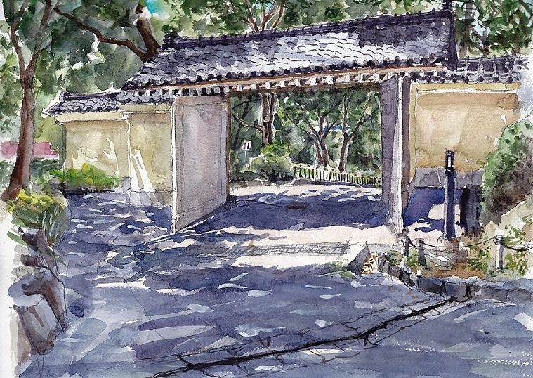 �L�m����̐��ʋ���