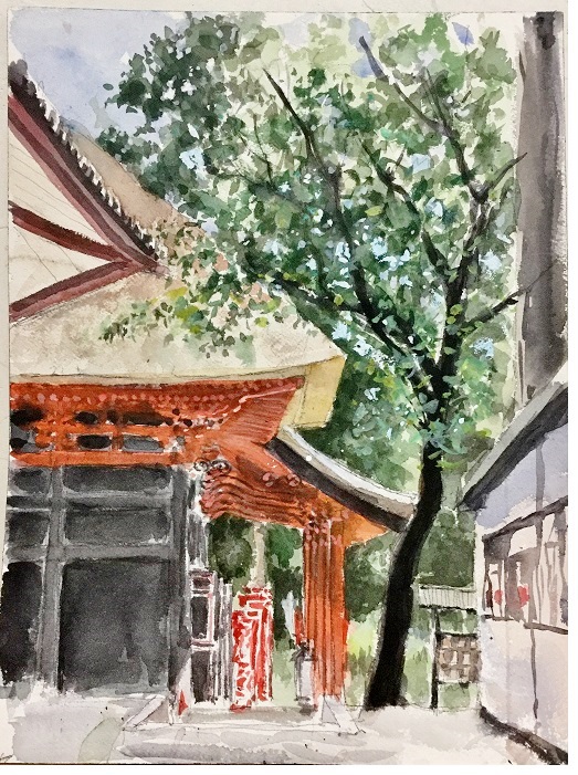 �L�m����̐��ʋ���