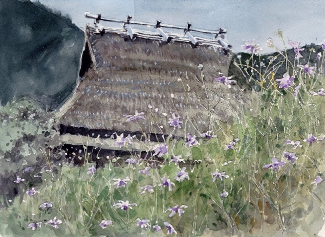 �L�m����̐��ʋ���