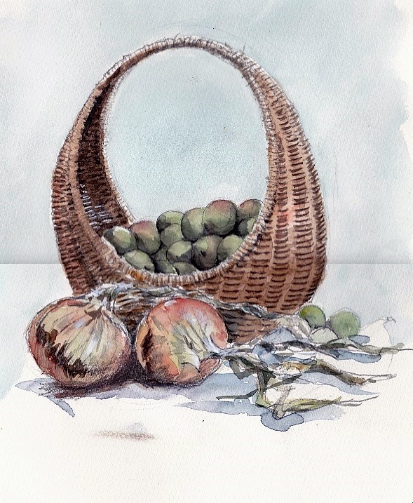 �L�m����̐��ʋ���