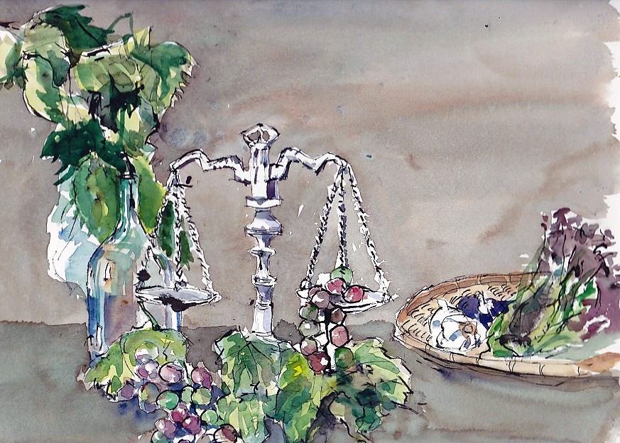 �L�m����̐��ʋ���